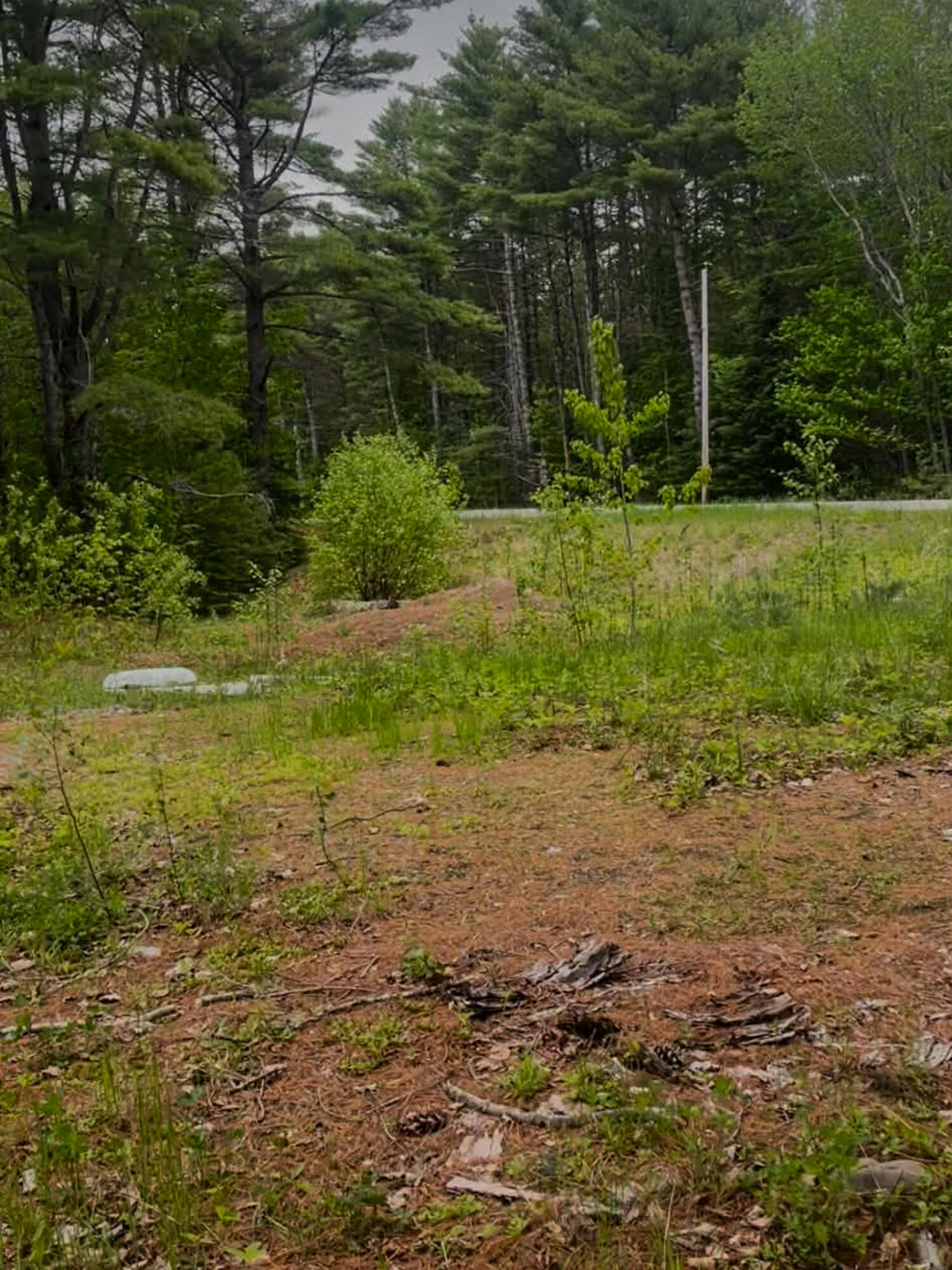 4422 Bennoch Road Alton, ME 04468 - Photo 9 of 11 26 Old County 7 Fox Run -10