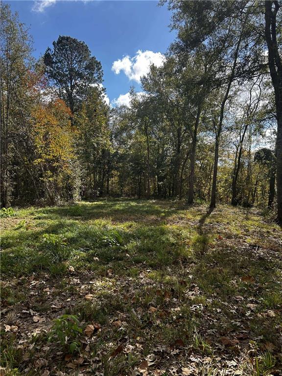 4357 Rigolette Road Pineville, LA 71360 - Photo 4 of 9