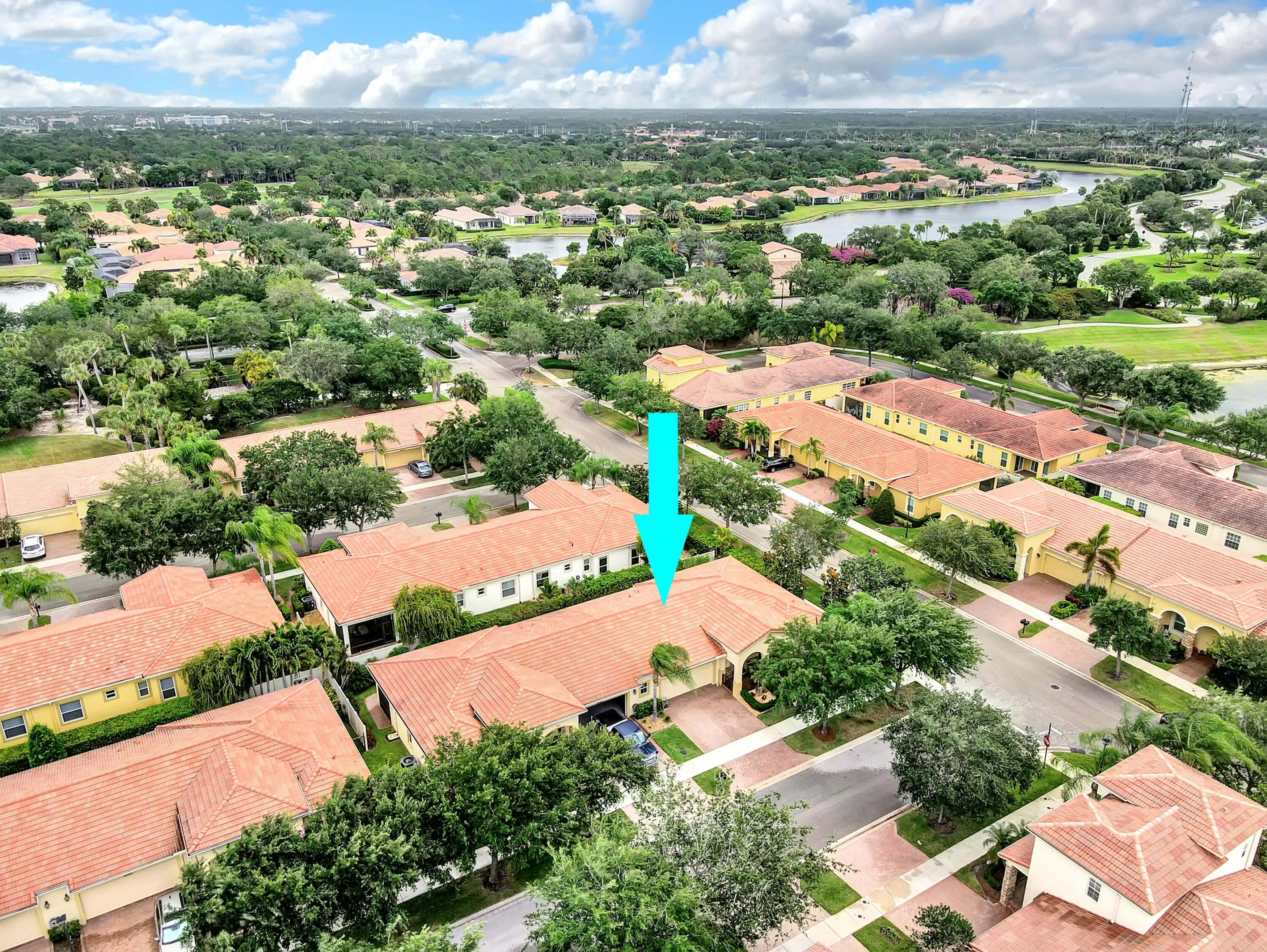Drone Overhead