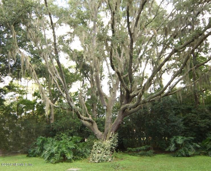 4743 Herton Road Jacksonville, FL 32258 - Photo 29 of 34 Natural beauty abounds in this yard