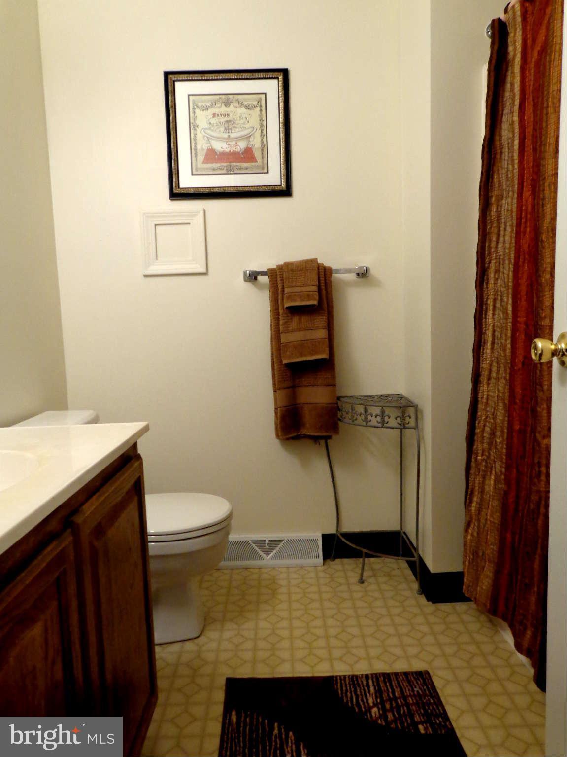 104 Centerside Road Mount Airy, MD 21771 - Photo 22 of 28 Updated Hall Bath