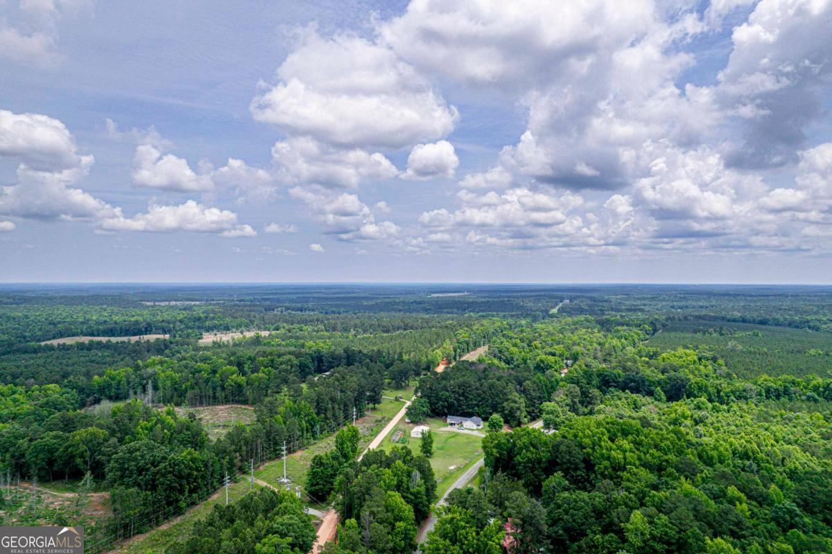 4275 Water Works Road Sparta, GA 31087 - Photo 54 of 55