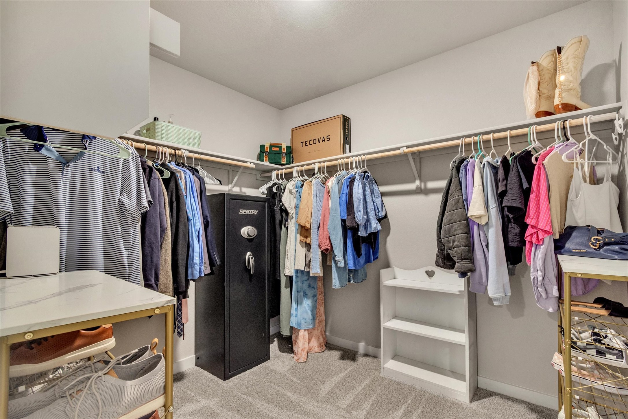 1008 Tipton Street Georgetown, TX 78633 - Photo 17 of 39 a view of walk in closet with clothes and shoes