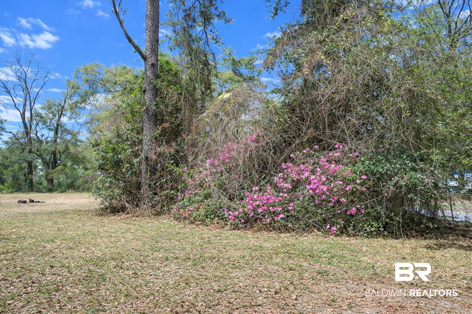 5407 Brunson Lane Eight Mile, AL 36613 - Photo 9 of 19