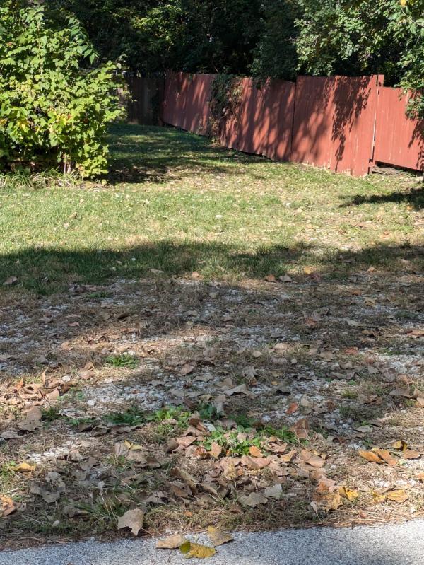 21W230 Pershing Avenue Lombard, IL 60148 - Photo 26 of 41 a view of a yard with large trees