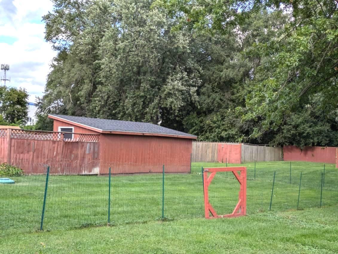 21W230 Pershing Avenue Lombard, IL 60148 - Photo 35 of 41 a backyard of a house with lots of green space and plants