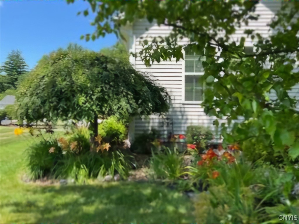 4438 Millstream Drive Clay, NY 13041 - Photo 5 of 42 Some of the landscaping at the back of the house
