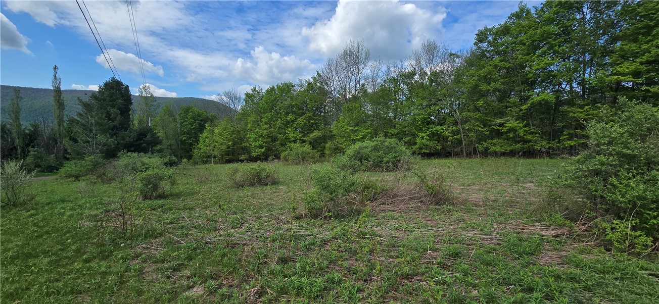 Adams Hill Road Hobart, NY 13788 - Photo 12 of 14 southern view