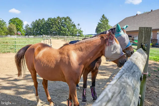 $2,450,000 | 844 Spruce Street, Annville, PA 17003