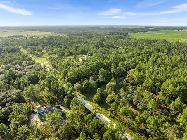 $19,500 | 0 Northeast Ne Street, Williston, FL 32696