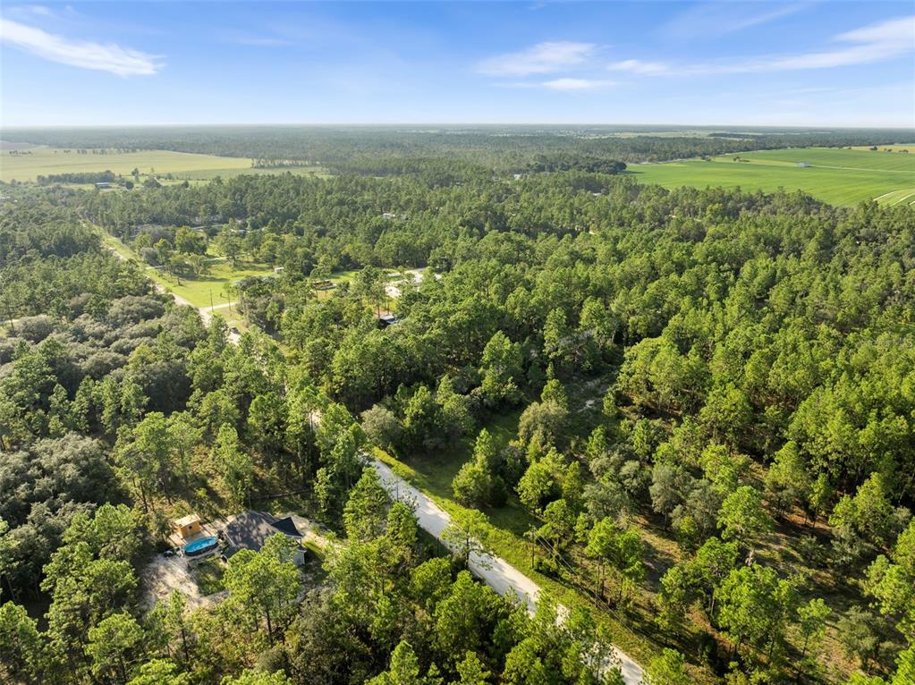 0 Northeast Ne Street Williston, FL 32696 - Photo 11 of 12