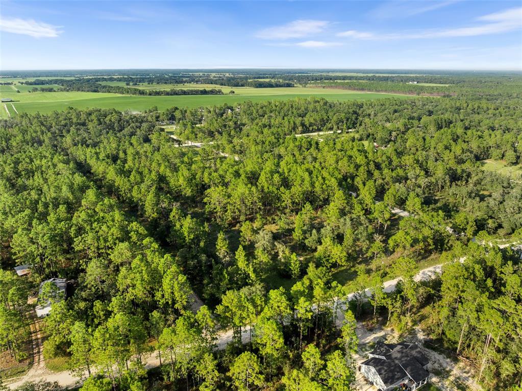 0 Northeast Ne Street Williston, FL 32696 - Photo 12 of 12