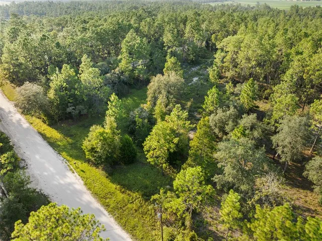 $19,500 | 0 Northeast Ne Street, Williston, FL 32696