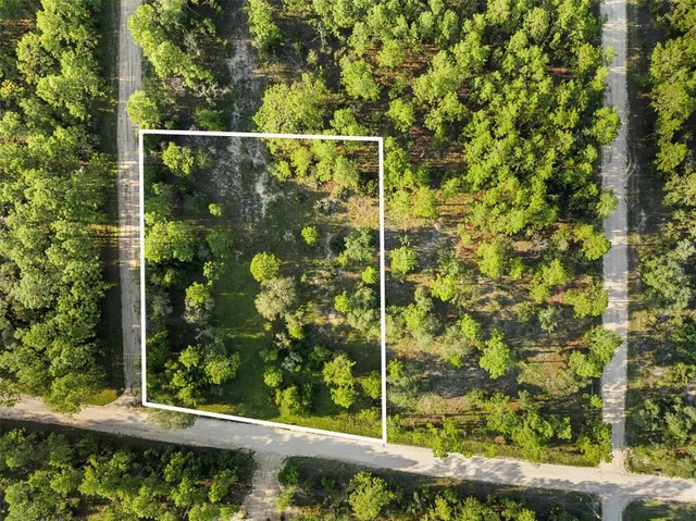 $19,500 | 0 Northeast Ne Street, Williston, FL 32696