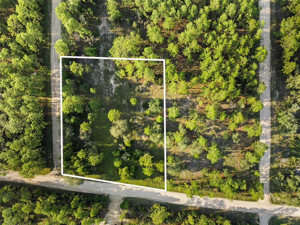 0 Northeast Ne Street Williston, FL 32696 - Photo 3 of 12