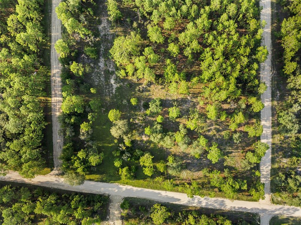 0 Northeast Ne Street Williston, FL 32696 - Photo 5 of 12