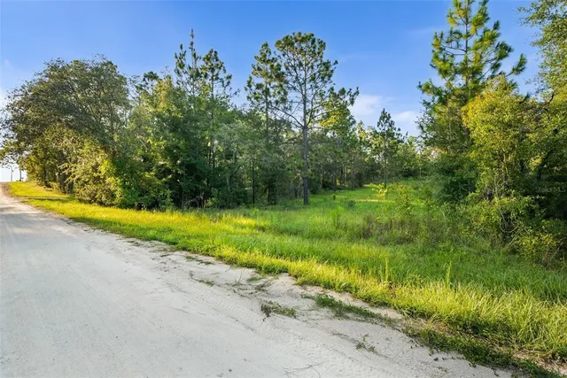 $19,500 | 0 Northeast Ne Street, Williston, FL 32696