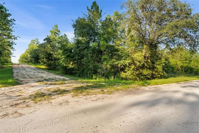 $19,500 | 0 Northeast Ne Street, Williston, FL 32696