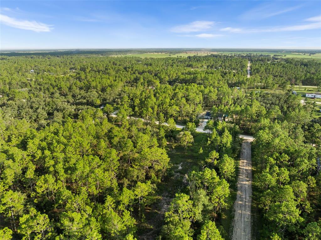 0 Northeast Ne Street Williston, FL 32696 - Photo 9 of 12