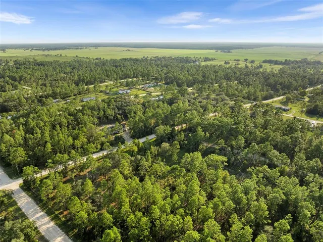 $19,500 | 0 Northeast Ne Street, Williston, FL 32696