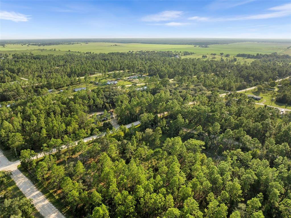 0 Northeast Ne Street Williston, FL 32696 - Photo 10 of 12