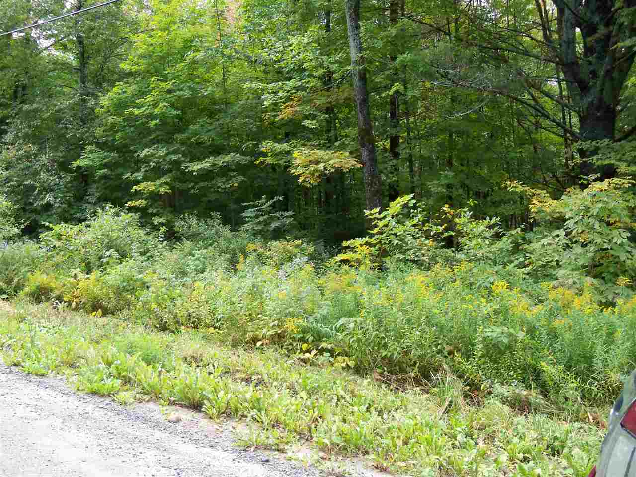 0 Shadow Lake Road, Unit LOT # 8 Concord, VT 05824 - Photo 1 of 1 Gallery Image 1