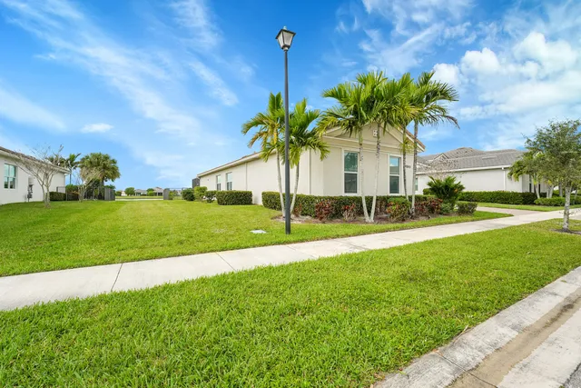 a palm tree sitting in front of a house with a big yard