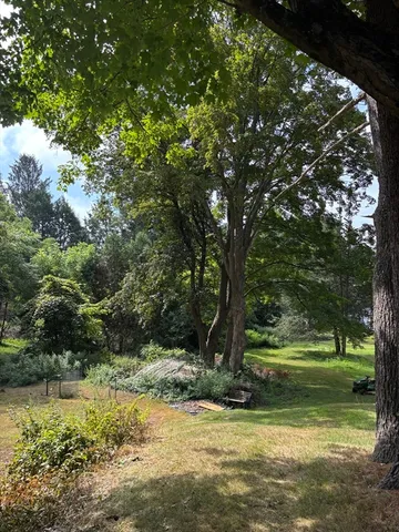 a view of backyard with green space
