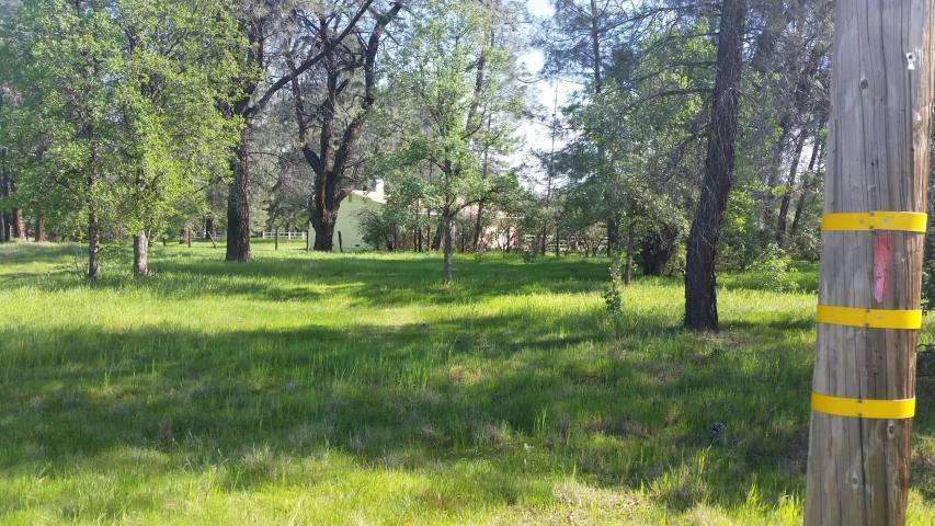 5167 Happy V Road Anderson, CA 96007 - Photo 4 of 7 Total property