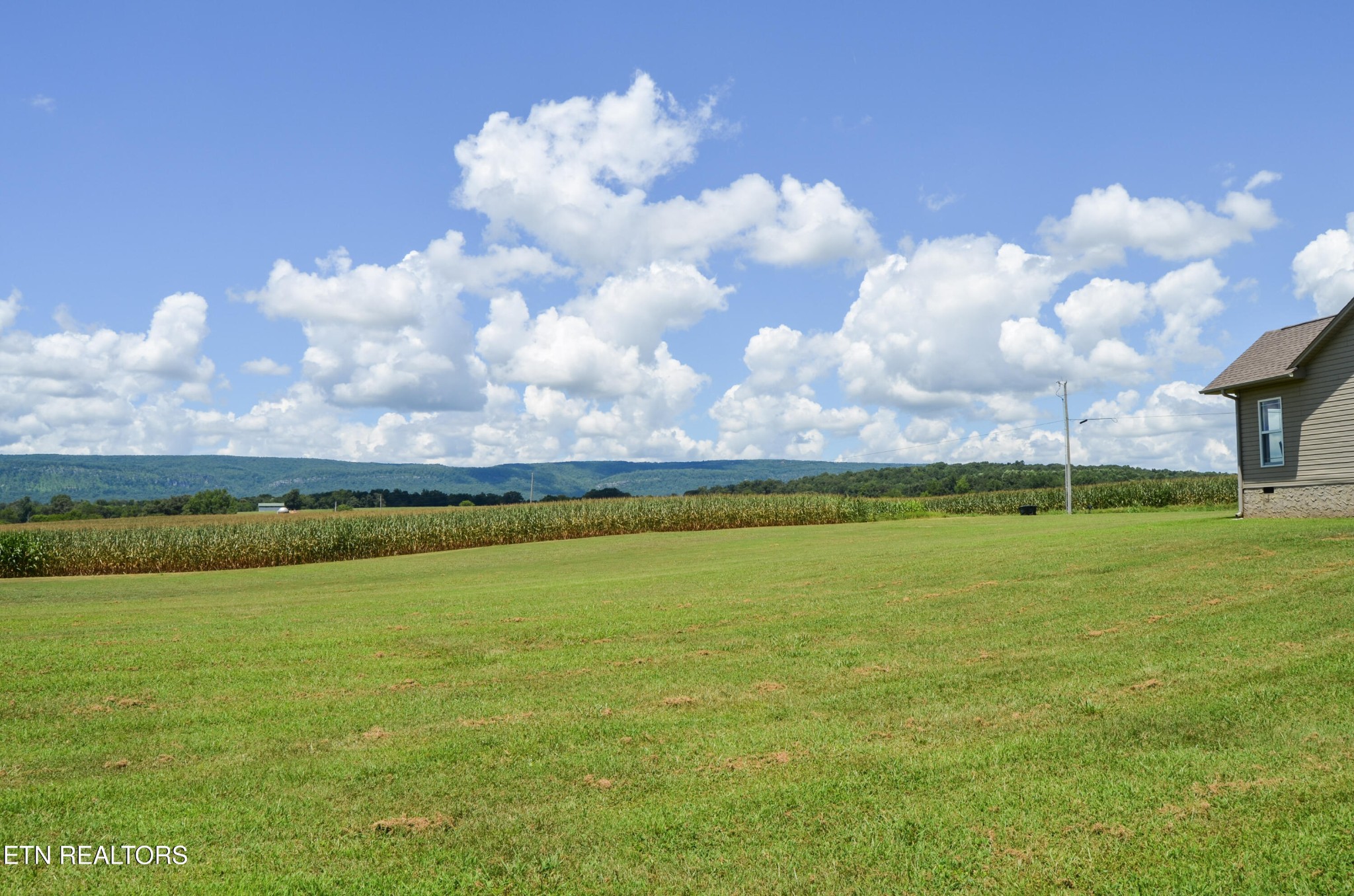241 Terry Road Pikeville, TN 37367 - Photo 41 of 47