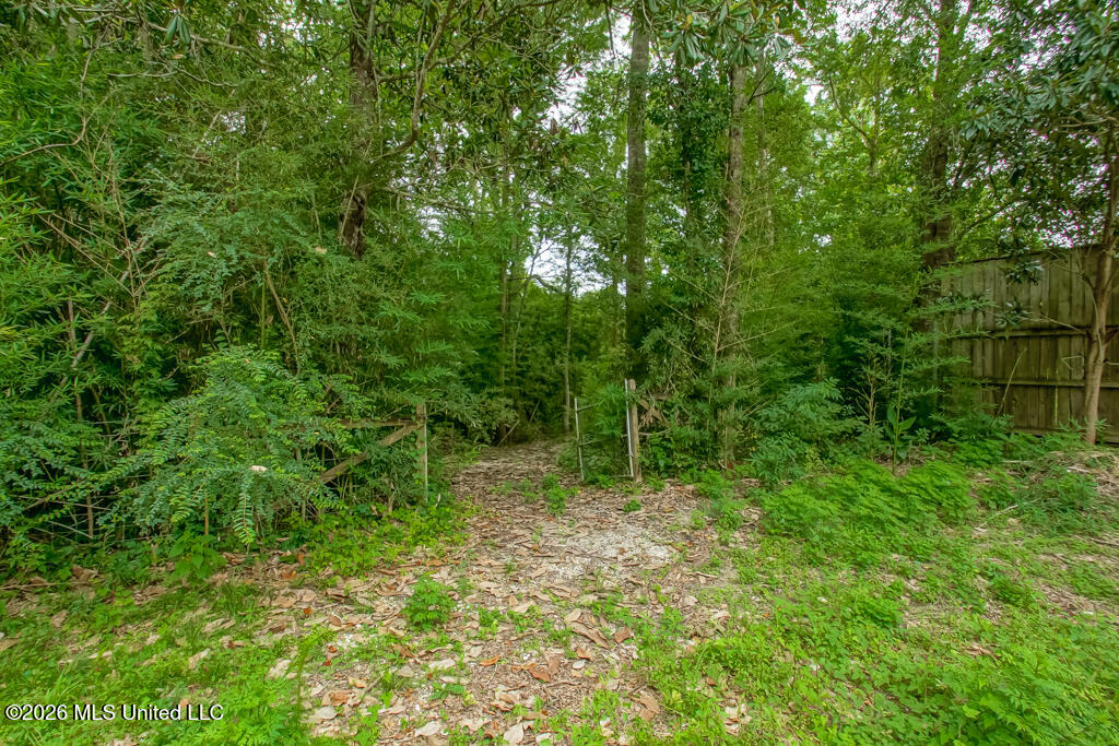 557 Walkiah Blf Road Picayune, MS 39466 - Photo 17 of 53 DSC00870