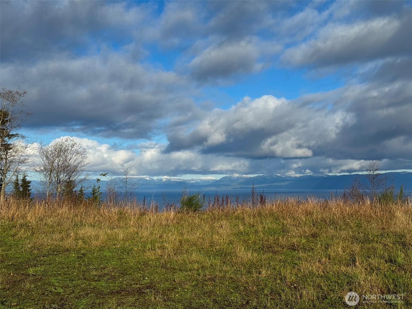 468 Sekiu Airport Road Sekiu, WA 98381 - Photo 12 of 40