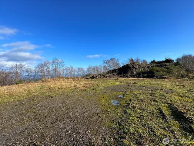 a view of an outdoor space and a yard