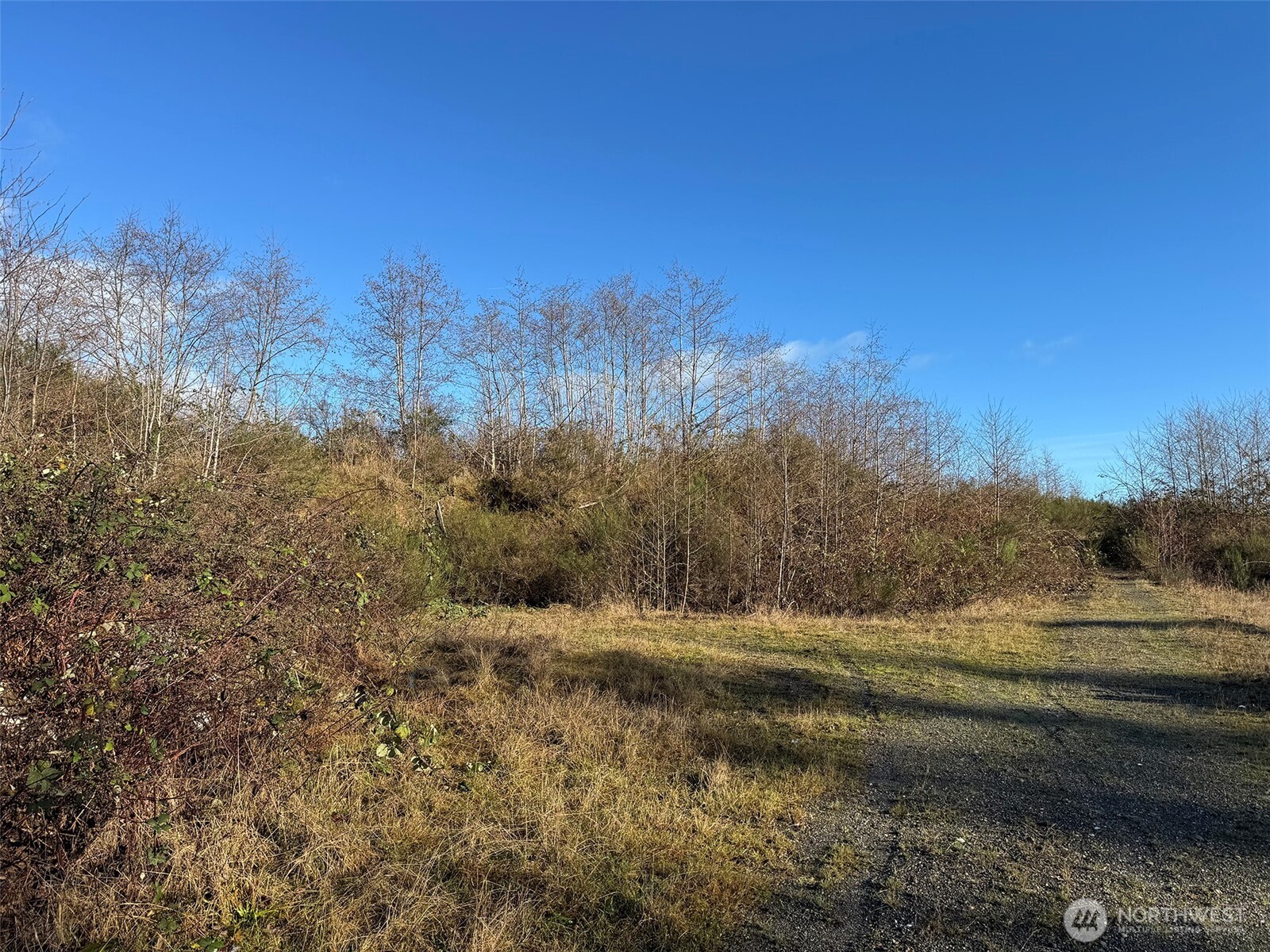 468 Sekiu Airport Road Sekiu, WA 98381 - Photo 25 of 40