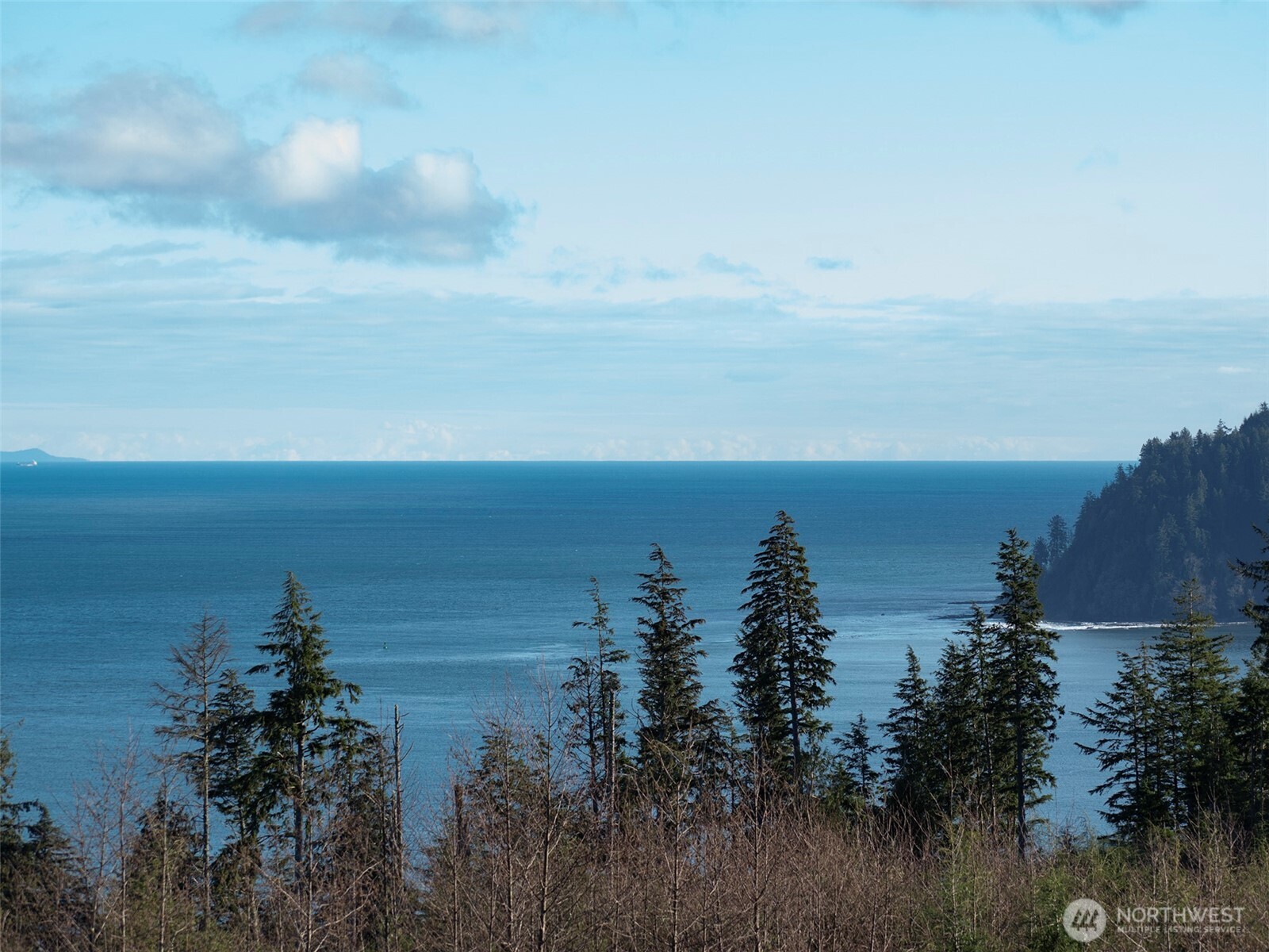 468 Sekiu Airport Road Sekiu, WA 98381 - Photo 30 of 40