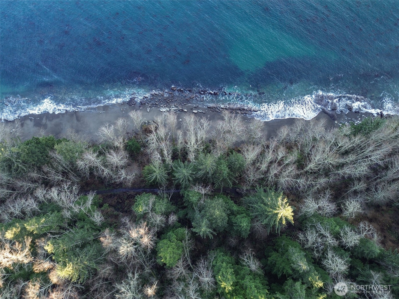 468 Sekiu Airport Road Sekiu, WA 98381 - Photo 36 of 40