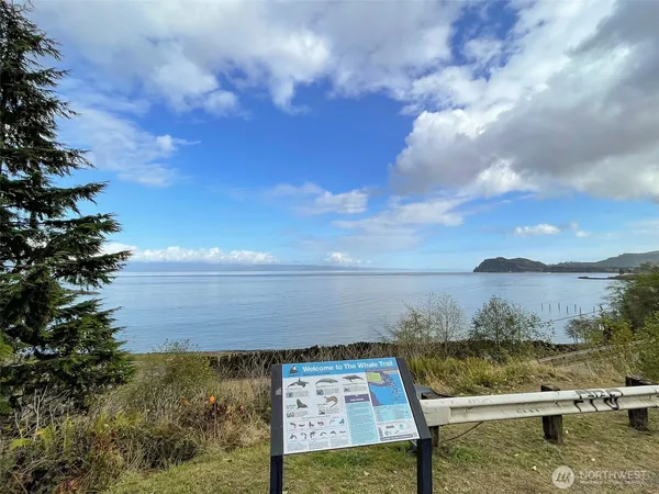 a view of an ocean and beach
