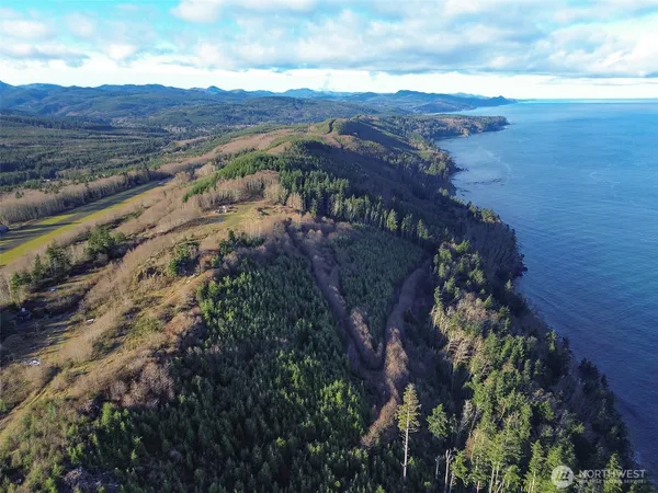 a view of a lake with a mountain
