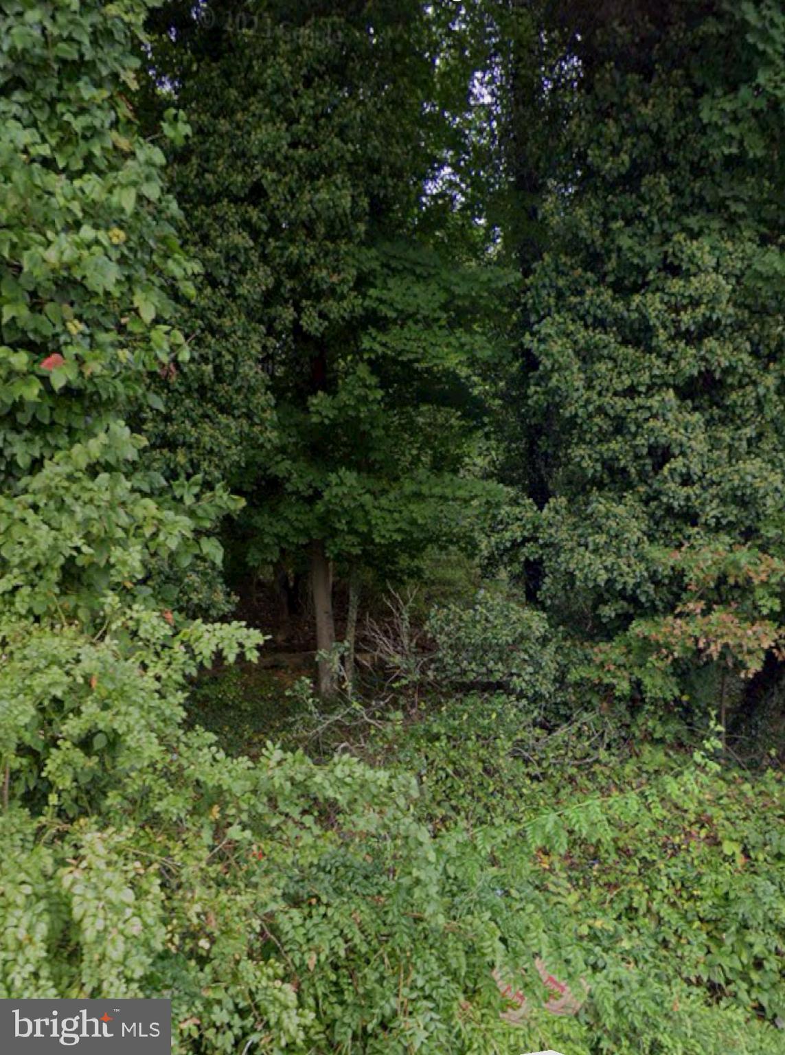 a view of outdoor space and deck