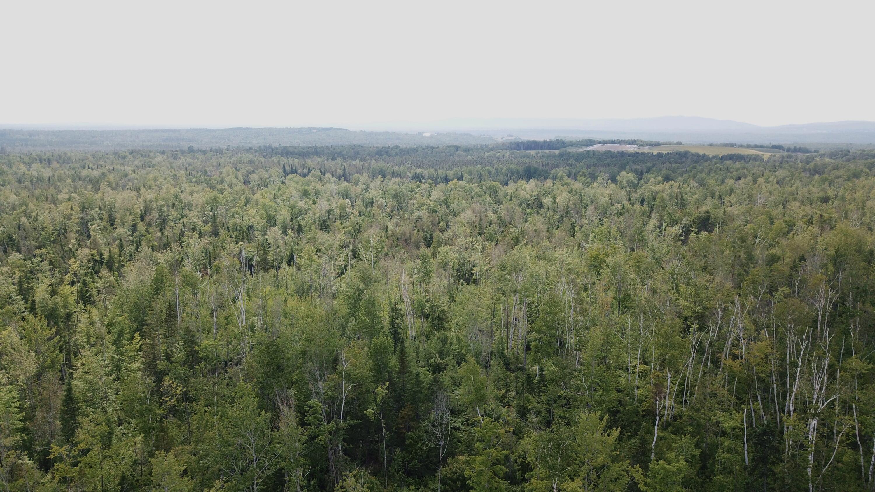 DJI_0537