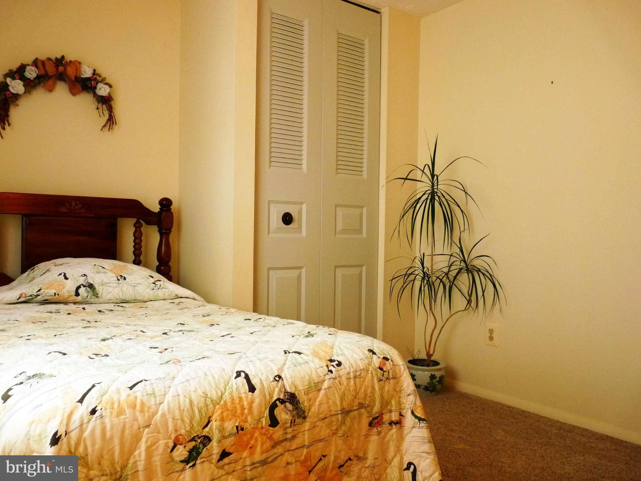 4 Box Baltimore, MD 21221 - Photo 15 of 30 a bedroom with a bed and a plant