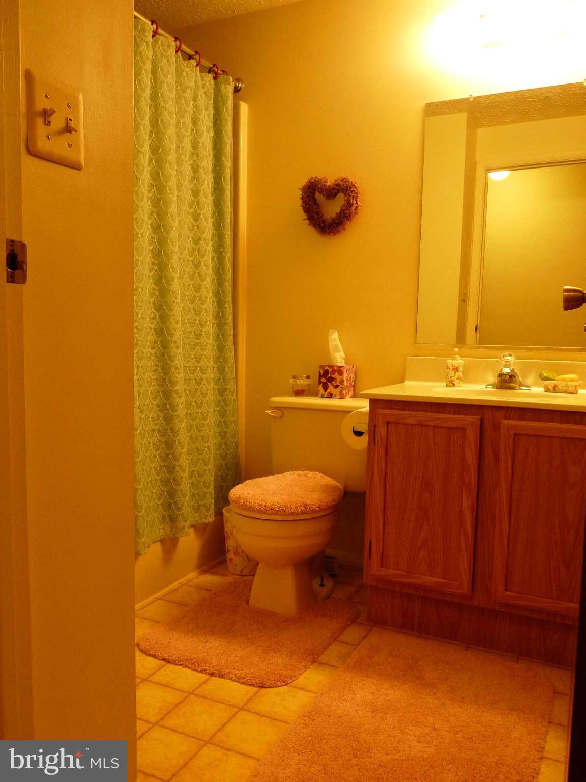 4 Box Baltimore, MD 21221 - Photo 17 of 30 a bathroom with a toilet a sink and mirror
