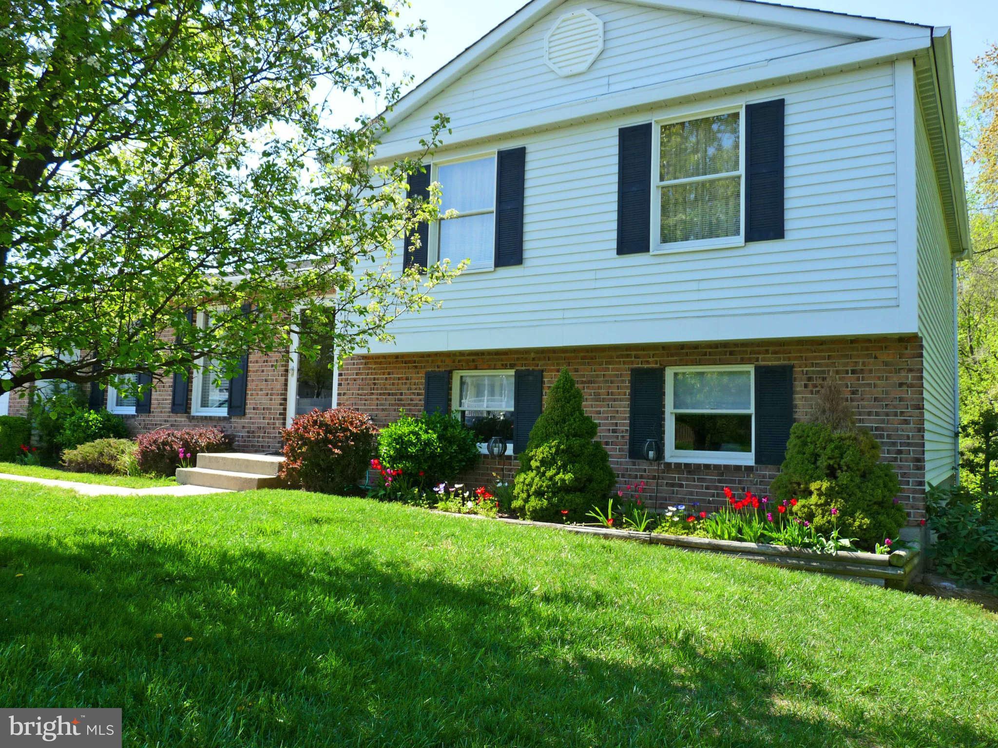 4 Box Baltimore, MD 21221 - Photo 29 of 30 a front view of house with yard and green space