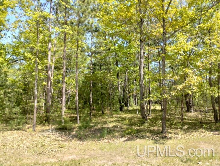 10494 Breezy R.22 Lane Rapid River, MI 49878 - Photo 4 of 5