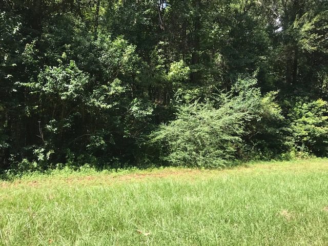 850 Providence Road Quincy, FL 32351 - Photo 1 of 1 Gallery Image 1