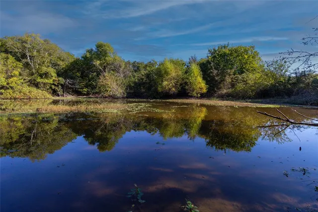 a view of a lake from a yard