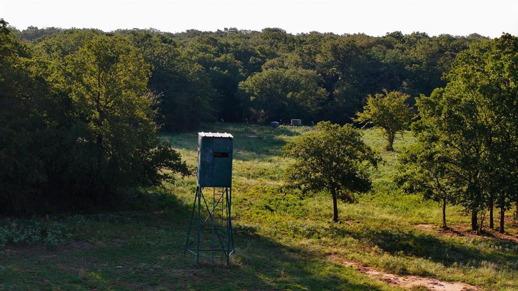 Tbd Hundley Road Montague, TX 76251 - Photo 17 of 26 a view of a back yard