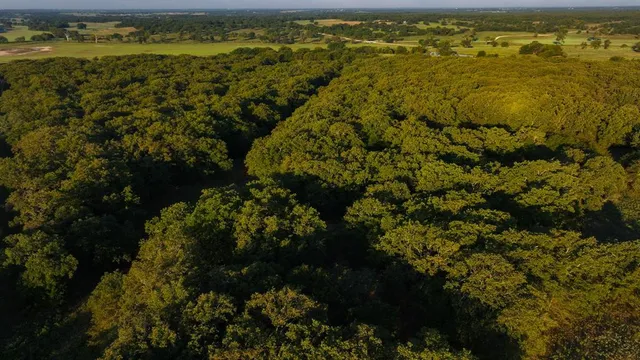 a view of outdoor space and mountain view