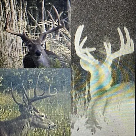 a vase of flowers sitting on a table