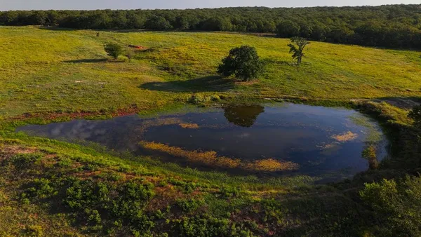 a view of an ocean beach